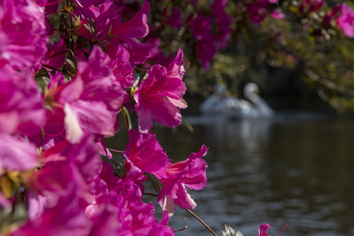 Rio Grande do Sul teve 12% a mais de movimento no turismo em 2025